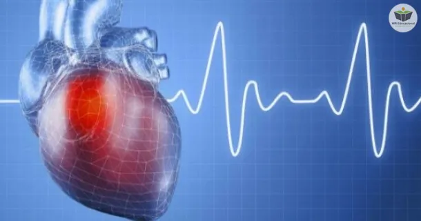 WR Educacional Cursos Gratuitos Com Certificado Válido